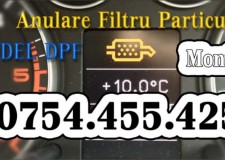 Anulare DPF Ford focus 1.6 TDCI anulare filtru particule Montaj inclus