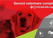 Ai nevoie de ambulanta veterinara profi?