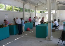 Mobilier comercial pentru piete agroalimentare