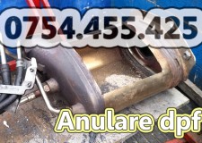 Anulare Filtru Particule Peugeot 206 208 307 308 508 407 607 HDI DPF OFF