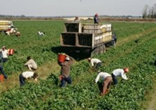 locuri de munca ferme de vaci austria