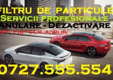 Anulare Filtru Particule DPF FAP Adblue EGR Chiptuning