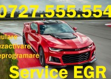 Anulare Dezactivare EGR Ã¢Â€Â“ Valva EGR orice model