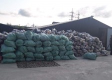 Intime,sutiene,chiloti,ciorapi 90 % NOI !