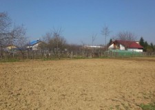 vand teren peris coada snagovului