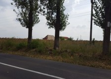 Vand teren intravilan Ganeasa Ilfov