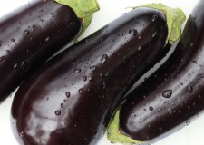 Angajez culegatori vinete Germania