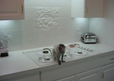 CRÄ‚CIUN AFECTUOS MANTA CU GLUGÄ‚ MAIMUÅ¢Ä‚ PENTRU ADOPTAREA