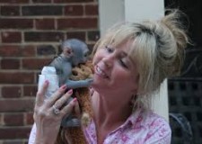 DouÄƒ adorabile mici masculi È™i femei de maimuÈ›e capucin copil pentru adoptare