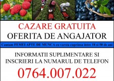 Oferta de munca in Spania 2018 (ZONA HUELVA) Fara comision!!!