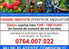 Oferta de munca in SPANIA - salariu cuprins intre 1200 si 1600 EURO (NU SE PLATESTE COMISION)