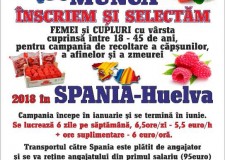 Locuri de munca in strainatate (SPANIA zona HUELVA) Campanie Ianuarie - Iunie 2018