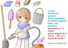 spalare covoare mochete autoturisme