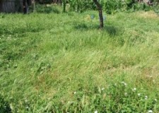 teren intravilan Naipu, jud Giurgiu