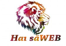 Realizam site-uri de calitate oamenilor de afaceri