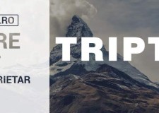 Triptop