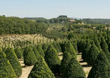 Oferta pentru toamna 2018