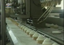 Angajam necalificati fabrica de inghetata