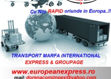 Servicii mutari internationale