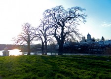 teren investitie  pentru case de week  end /complex