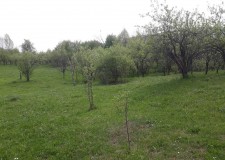 vand teren la 20 km de Sinaia , Campina,  Poiana Campina si Provita 9-22 euro mp.