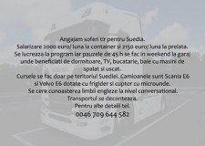 Soferi profesionisti suedia