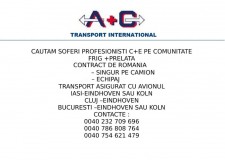 Soferi profesionisti c+e