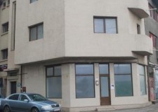 vila Basarab, Calea Grivitei