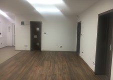 spatiu parter Timisoara, Iancu Flondor