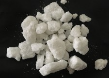 Etnobotanice en gross 2019