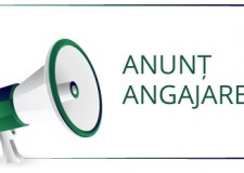 Angajez mecanic auto