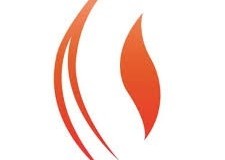 Combustibil similar cu motorina cu  sulf 1%