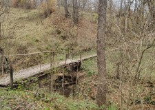 Teren cu potential agroturism/parc de aventura/centru tratament