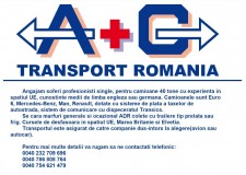 Soferi profesionisti comunitate