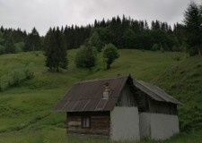 teren in Podu Dambovitei, Arges