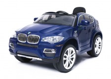 BMW x6 2x 35W
