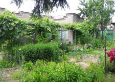 Proprietar vand casa in Tulcea