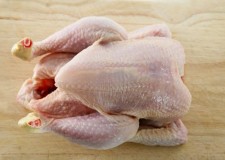 Angajez ambalatori carne pui si curcan in Germania