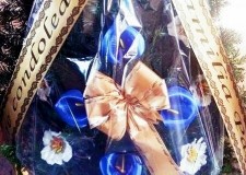 Imprimanta panglica funerara 0744.373.828