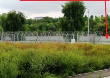 Proprietar teren la lac zona Petricani Toboc