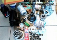 Piese auto, sertizari furtunuri