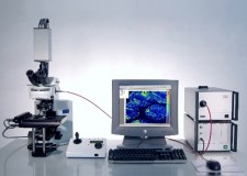 Microscoape digitale Ronexprim