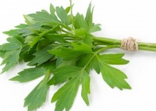 Vand Leustean En-gros