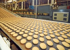 Angajez muncitori pentru fabrica de biscuit din Germania