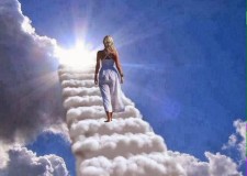 VIITORUL--ESTE ONLINE