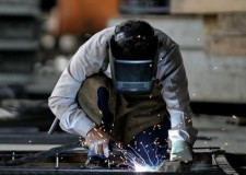 Angajam sudori Olanda