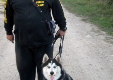 CEL MAI IEFTIN DRESAJ CANIN!