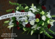 Sistem printare panglica funerara.Imprimanta portabila