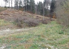 Vand teren construibil in Sinaia