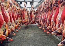 Angajam personal abator Olanda